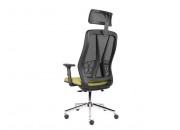 BESTE YÖNETİCİ KOLTUĞU