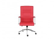 DYNAMIC YÖNETİCİ KOLTUĞU