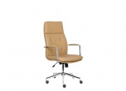 FLEX YÖNETİCİ KOLTUĞU